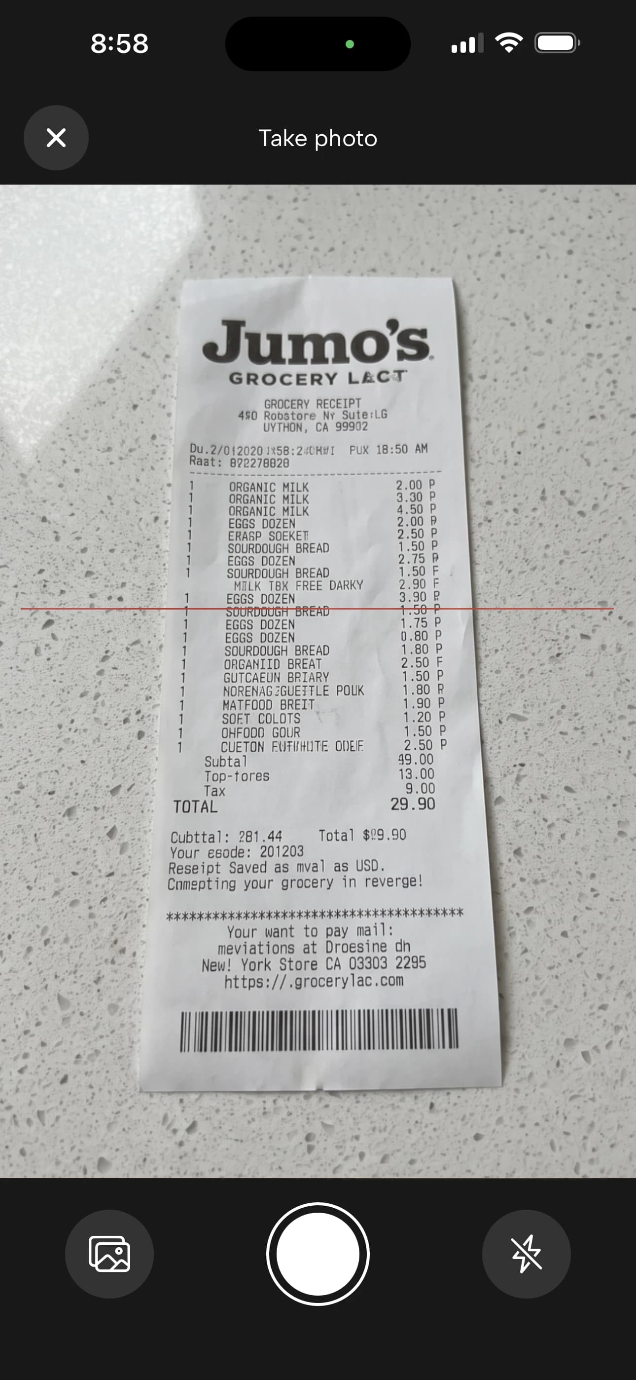 FridgeWise camera scanning a grocery receipt
